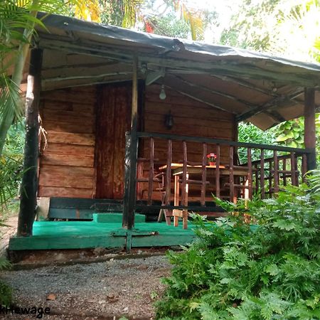 My House Ahangama Bilik gambar