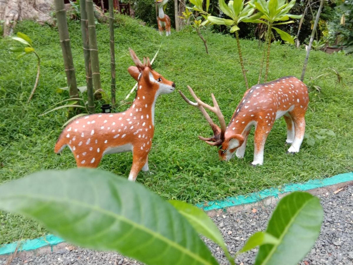 My House Ahangama Luaran gambar