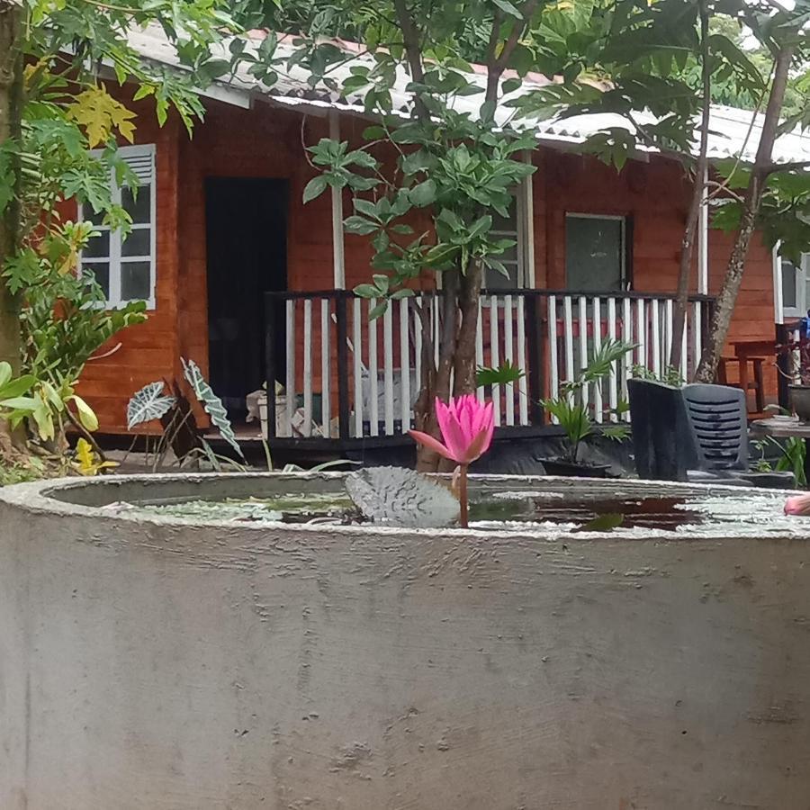 My House Ahangama Luaran gambar