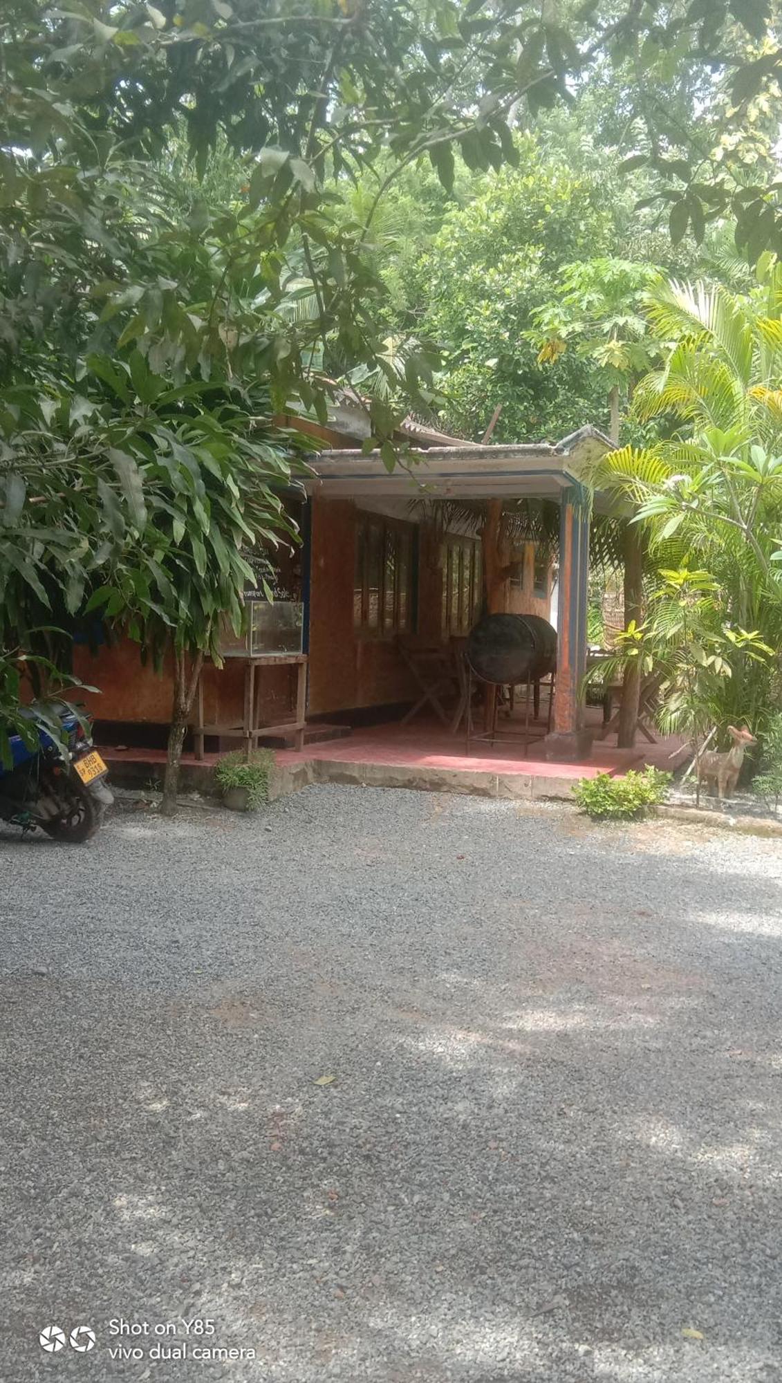 My House Ahangama Bilik gambar