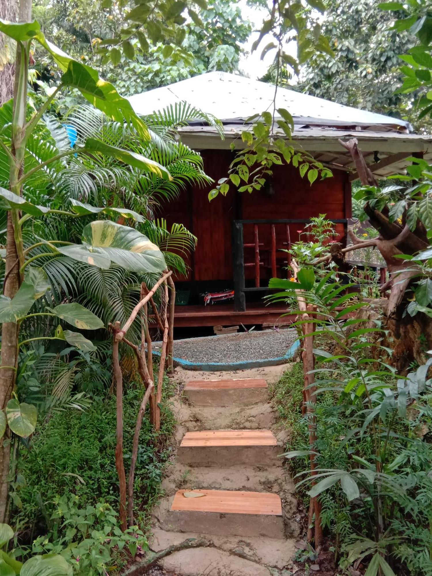 My House Ahangama Bilik gambar