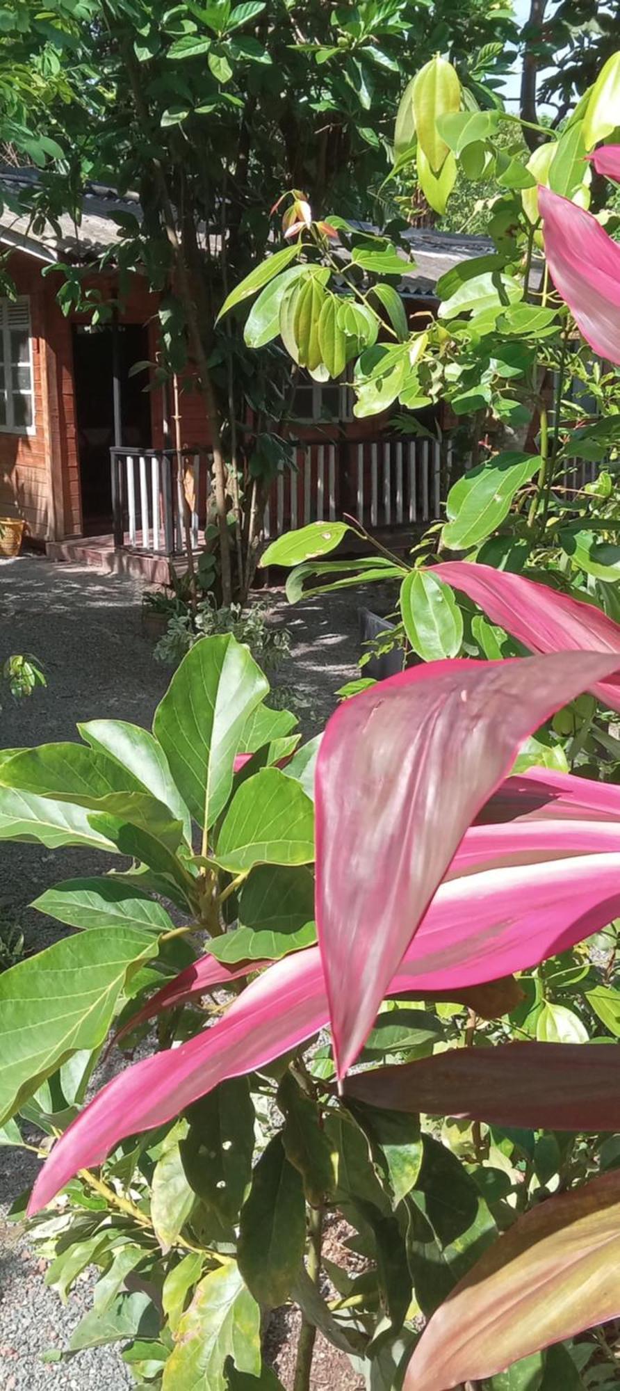 My House Ahangama Luaran gambar