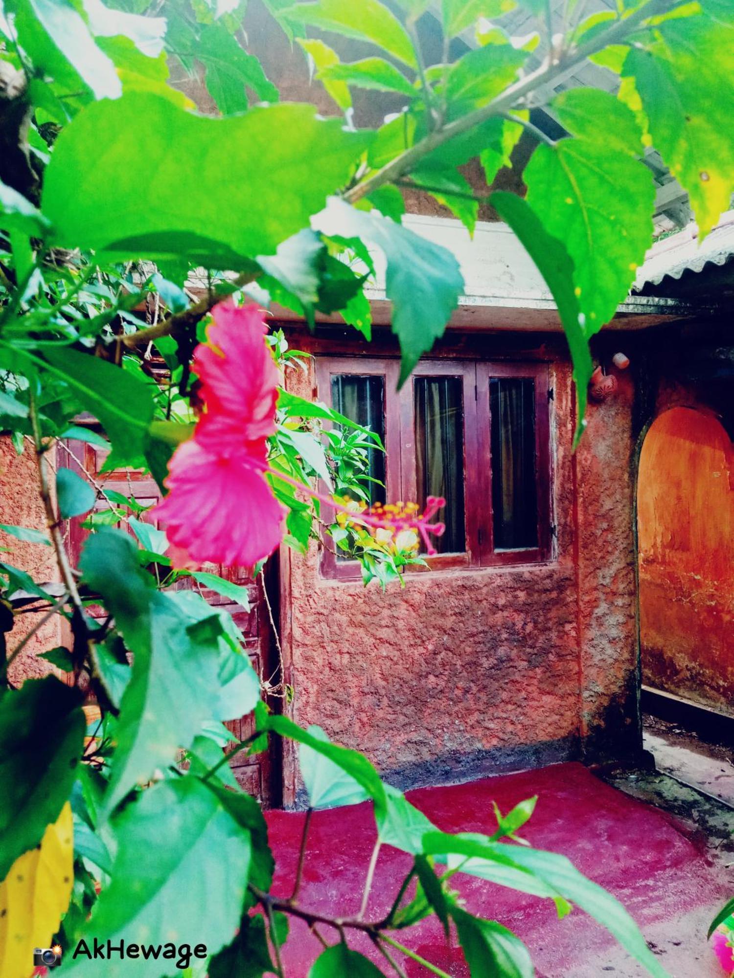 My House Ahangama Bilik gambar